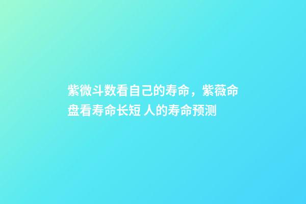 紫微斗数看自己的寿命，紫薇命盘看寿命长短 人的寿命预测-第1张-观点-玄机派